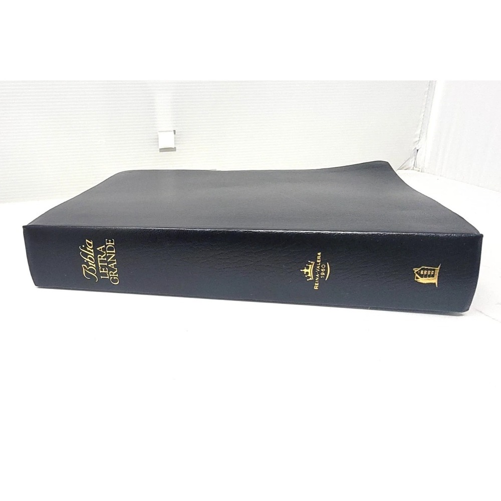 Biblia Letra Grande Reina Valera (Spanish Edition) PAPERBACK 2006